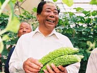 Китайцам запретят  выращивать овощи  на нашей территории