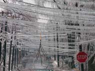 "Выносливые" провода против ледяного дождя