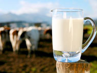 Мировое молоко