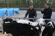 Дмитрий Медведев: «Россия должна стать одним из ведущих мировых производителей молочной продукции»