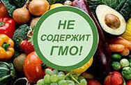 ГМО нанесет вред сельскому хозяйству России