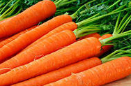 Не пора ли посеять морковь?