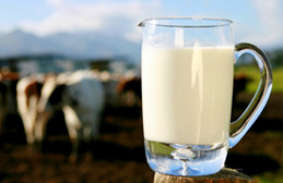 Государству предлагают инвестировать в молоко