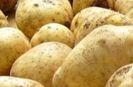 О ходе уборки картофеля и овощей в Московской области
