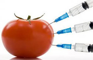 Эмбарго снизило долю продуктов с ГМО