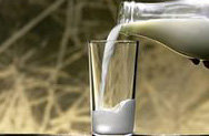 ЕС отказал Болгарии и Румынии в компенсации производителям молока