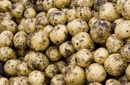 Египетский картофель вновь под запретом