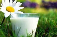 Россия достигнет продовольственной безопасности по молоку через 7–10 лет
