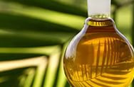 Запрет на пальмовое масло выведет из тени псевдомолочную продукцию