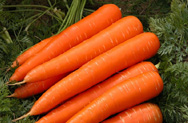 Про хранение моркови