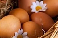 «Сердечными» яйцами обеспечит Камчатка